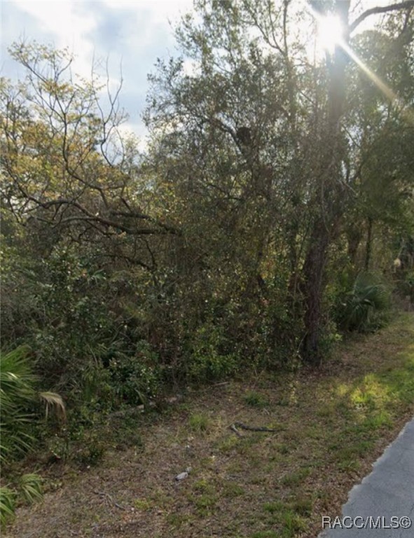 LOT 19 Lakeside Drive, Deland, New York image 4
