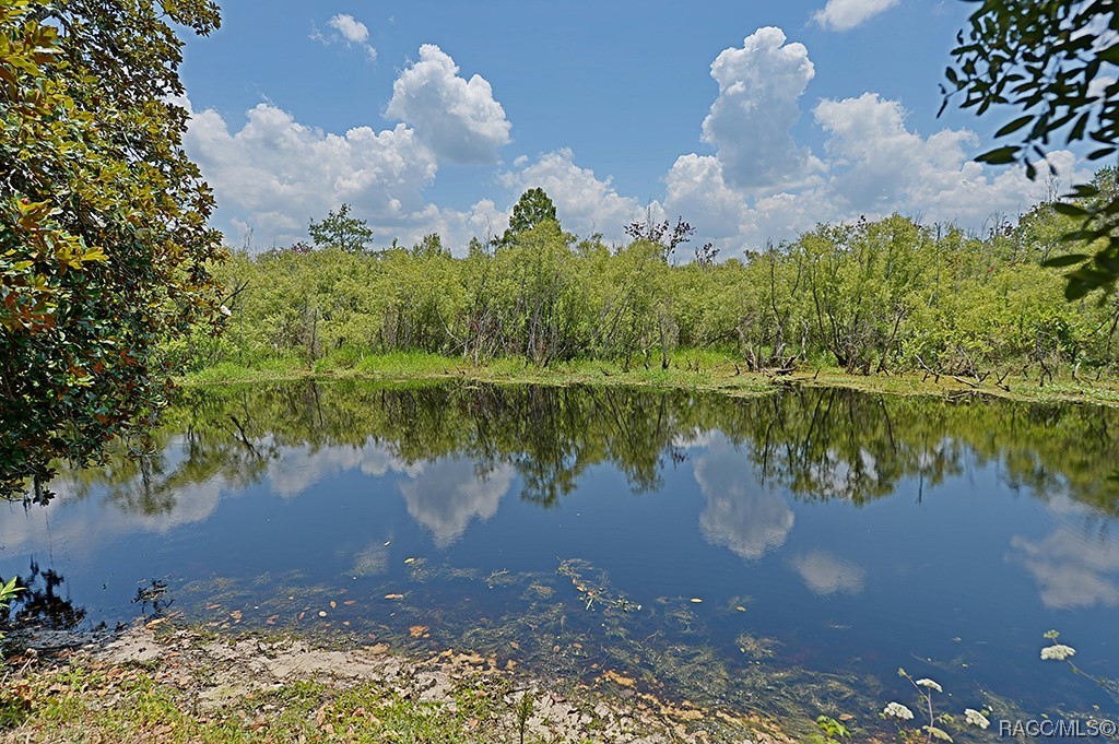 11834 E Crowder Court, Floral City, Florida image 39