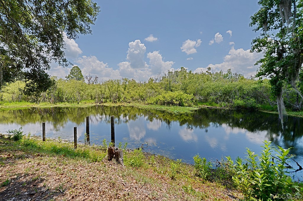 11834 E Crowder Court, Floral City, Florida image 38