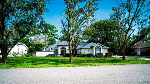 A home in Homosassa