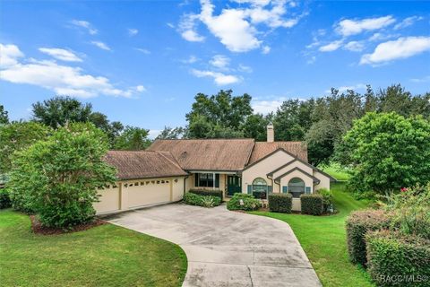 A home in Homosassa