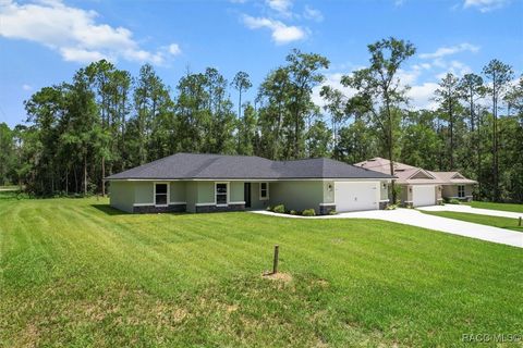 339 E Enfield Lane Citrus Springs FL 34434