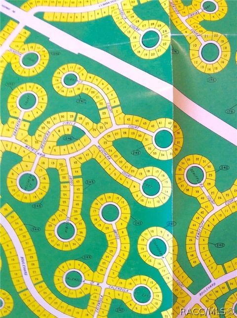 Homes For Sale - 49 Matricaria Court<br/> Homosassa, FL 34446