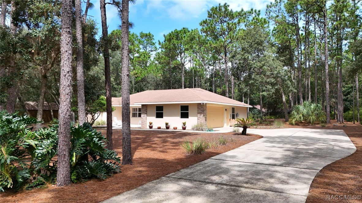 1461 W Redding Street, Hernando, Florida image 8