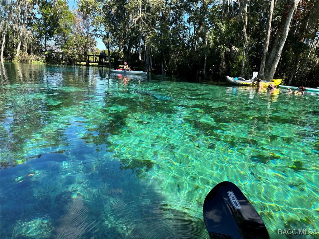 3930 N Seminole Point, Crystal River, Florida image 32