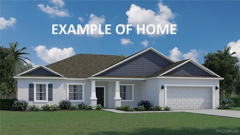 8925 N Golfview Drive Citrus Springs FL 34434