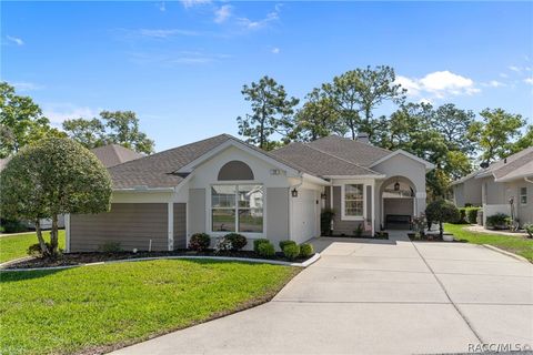 Homes For Sale - 72 W Byrsonima Loop<br/> Homosassa, FL 34446