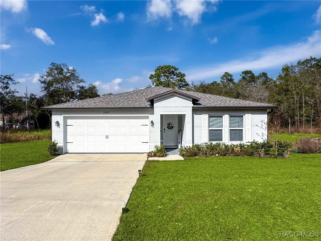 12085 Petrel Avenue, Brooksville, Florida image 1