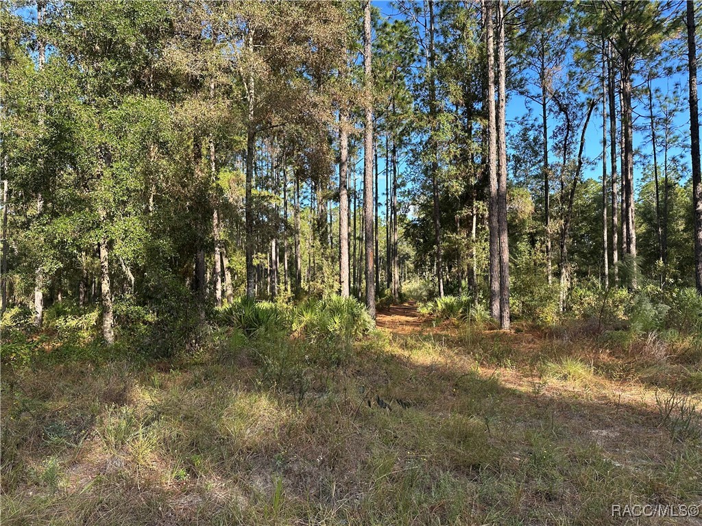 3960 N Buckhorn Drive