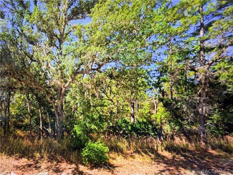 Vacant Land For Sale - 2722 W Pine Ridge Boulevard<br/> Beverly Hills, FL 34465