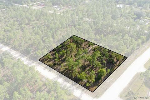 Vacant Land For Sale - 0000 NE 132nd Lot 1 Terrace<br/> Levy County, Williston, FL 32696