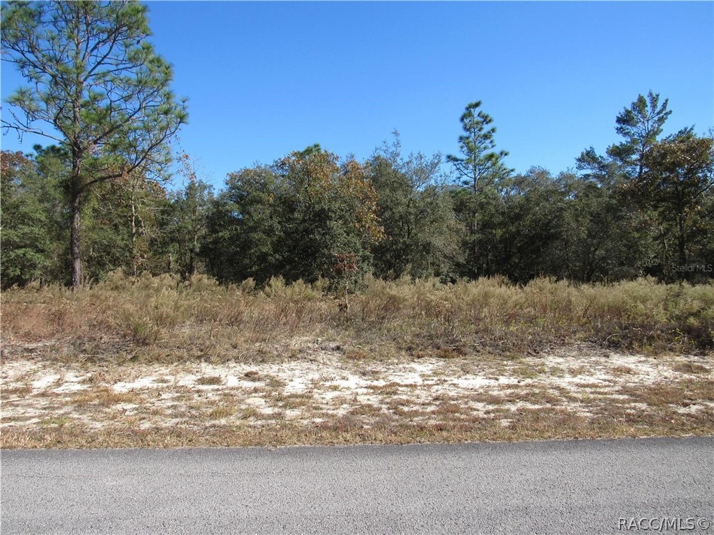 0000 SW Sands Pt Avenue, Dunnellon, Florida image 3