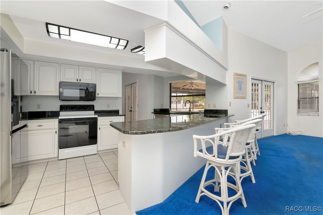 258 N Mesquite Point, Lecanto, Florida image 15