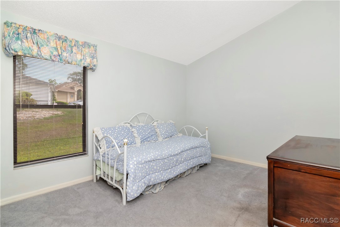 258 N Mesquite Point, Lecanto, Florida image 29