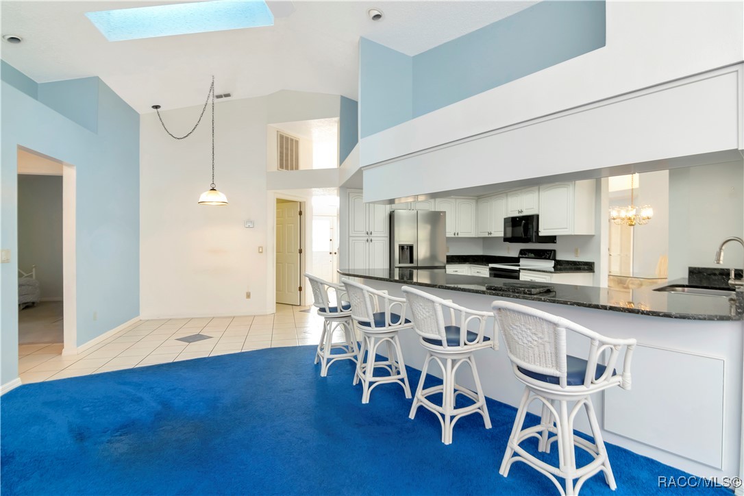 258 N Mesquite Point, Lecanto, Florida image 19