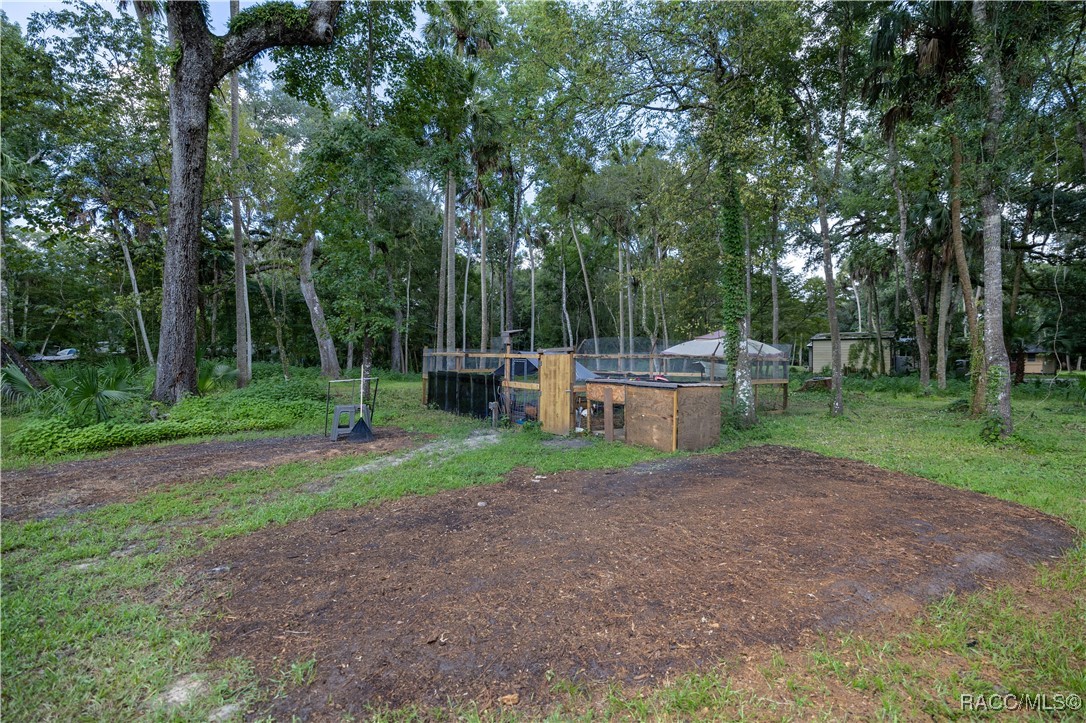 13125 E Shawnee Trail, Inverness, Florida image 6