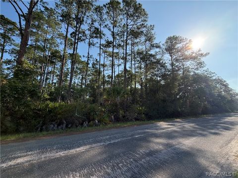 Vacant Land For Sale - 11023 W Acacia Drive<br/> Crystal River, FL 34428
