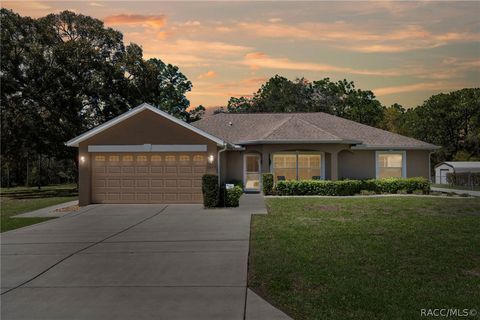 Homes For Sale - 1846 S Campbell Point<br/> Homosassa, FL 34448