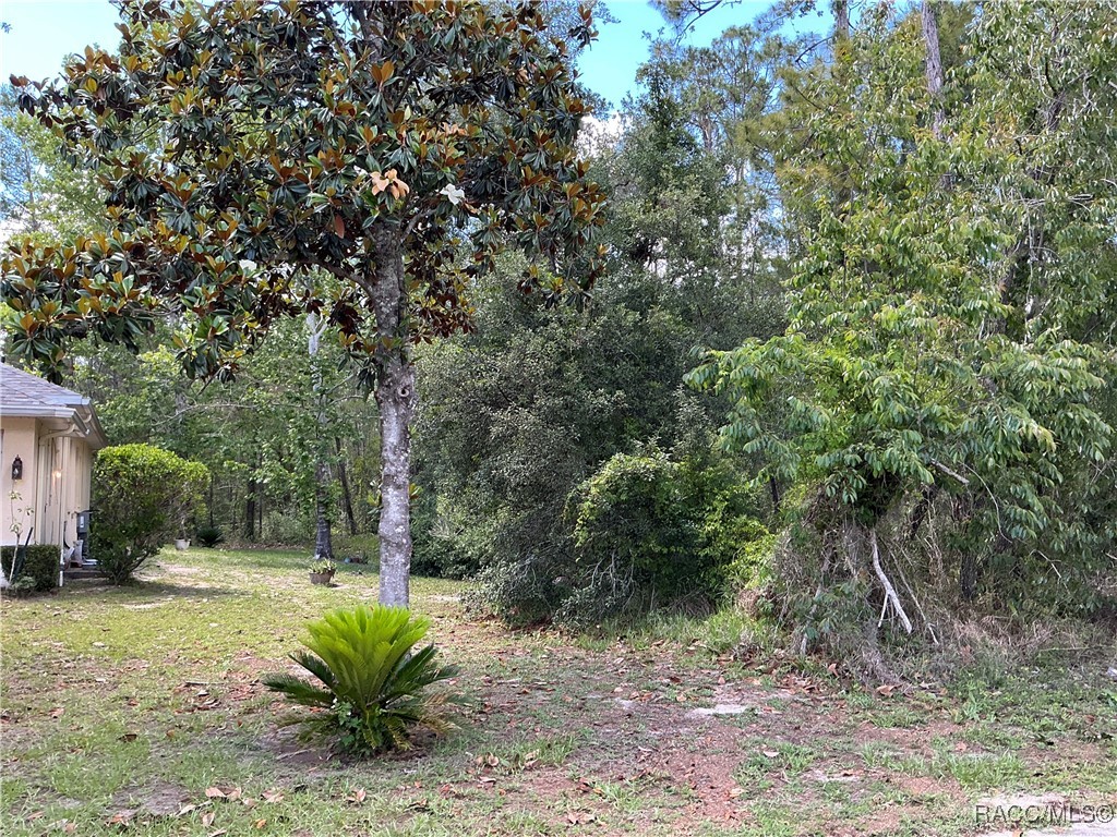 65 Bells Of Ireland Court, Homosassa, New York image 4
