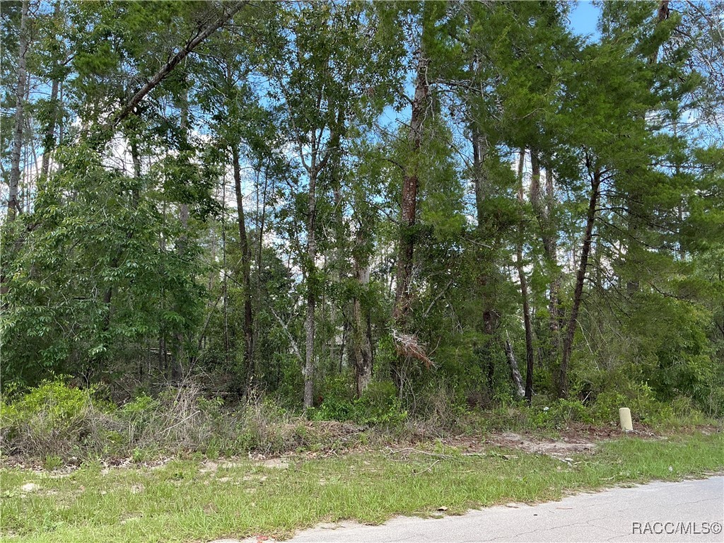65 Bells Of Ireland Court, Homosassa, New York image 3
