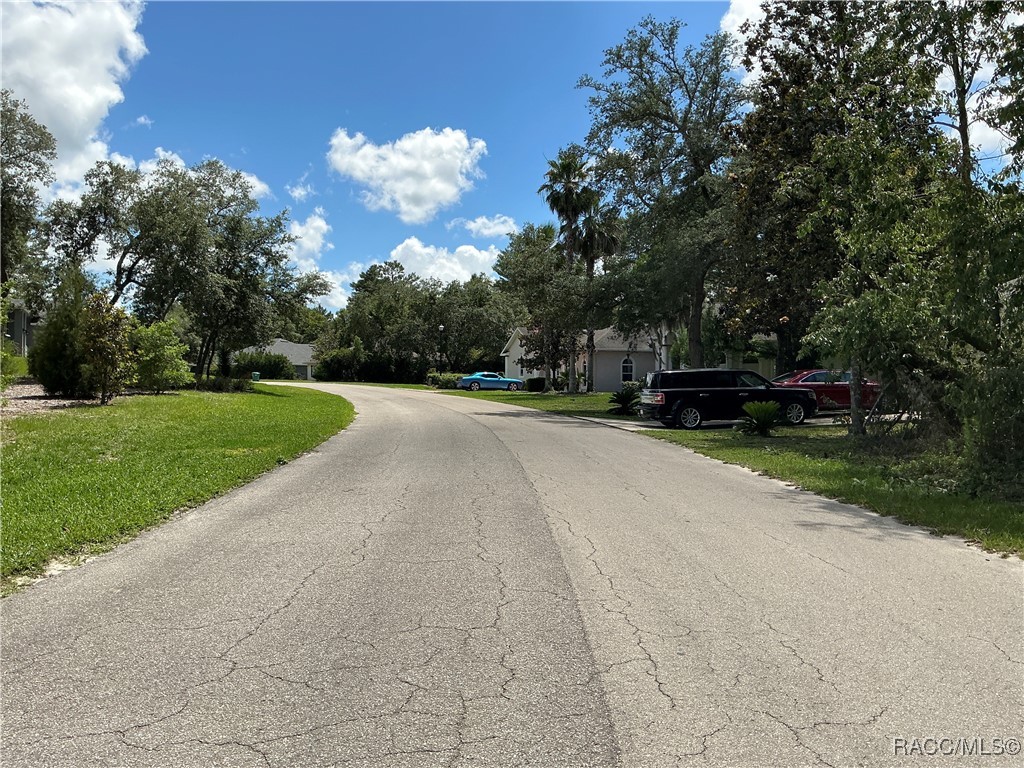 65 Bells Of Ireland Court, Homosassa, New York image 6