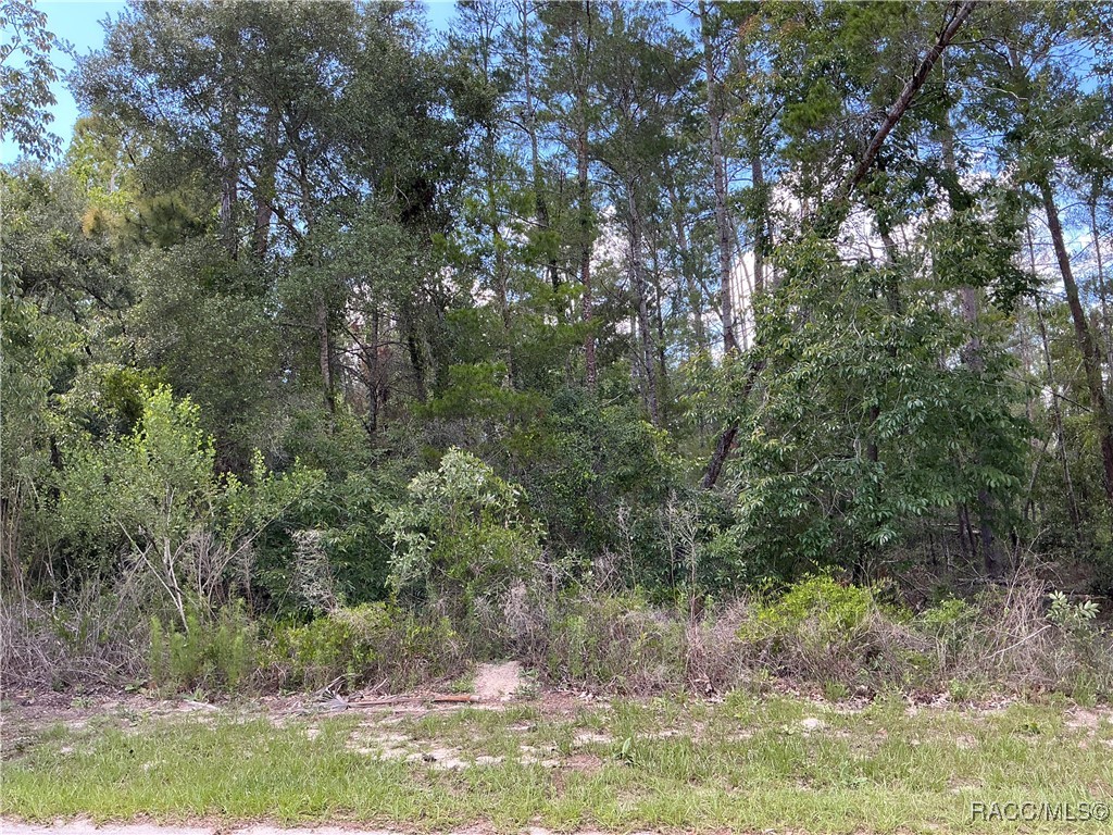 65 Bells Of Ireland Court, Homosassa, New York image 1