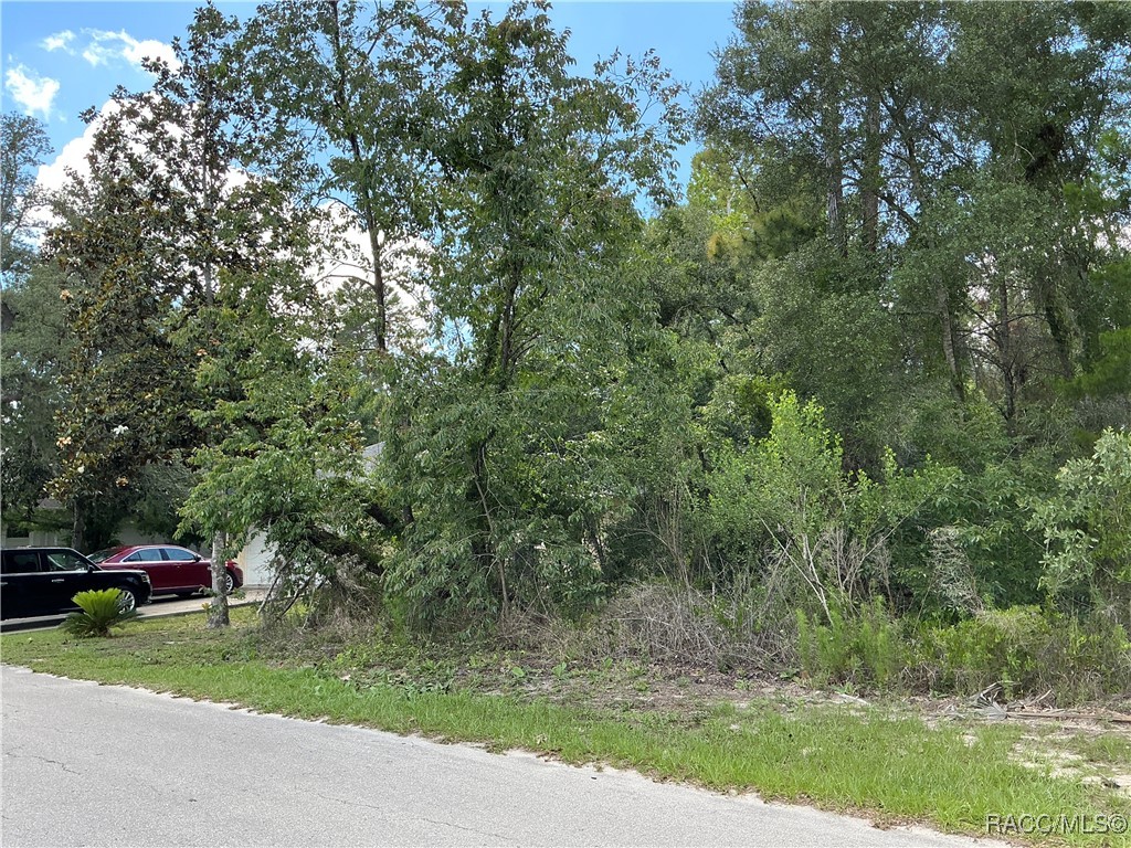 65 Bells Of Ireland Court, Homosassa, New York image 2