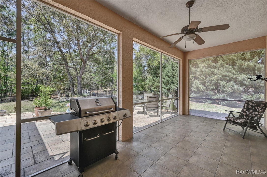 8 Black Willow Drive, Homosassa, Florida image 29