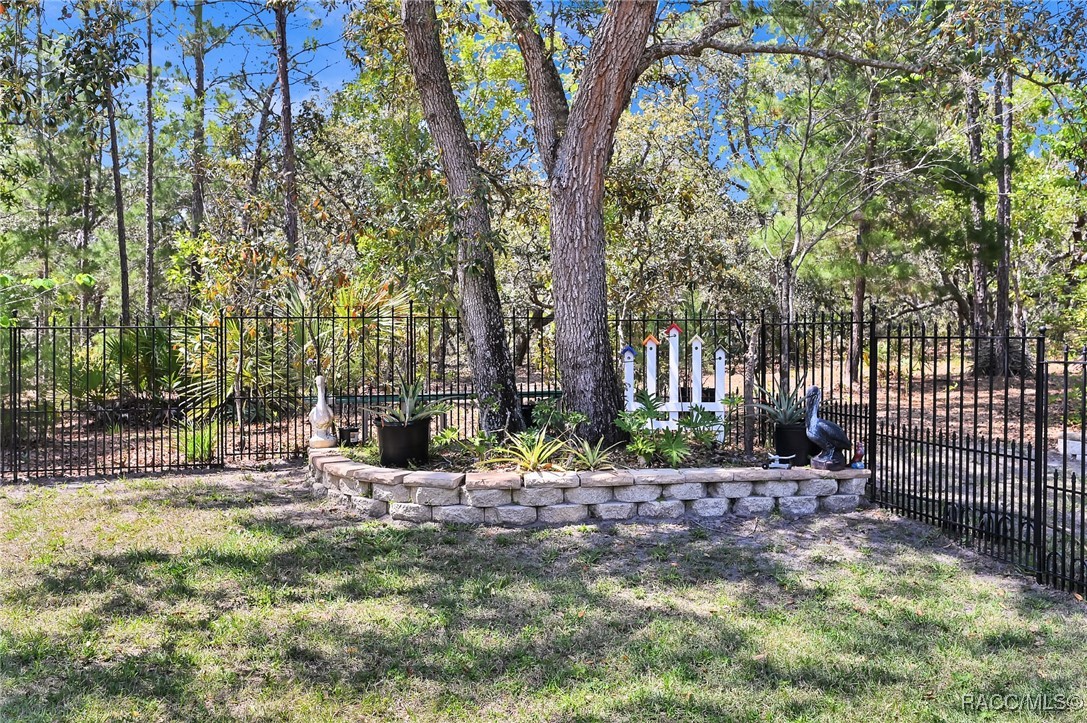 8 Black Willow Drive, Homosassa, Florida image 36