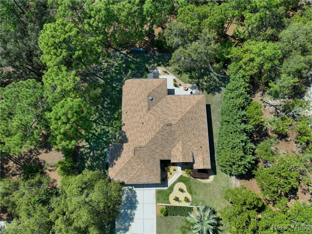 8 Black Willow Drive, Homosassa, Florida image 45