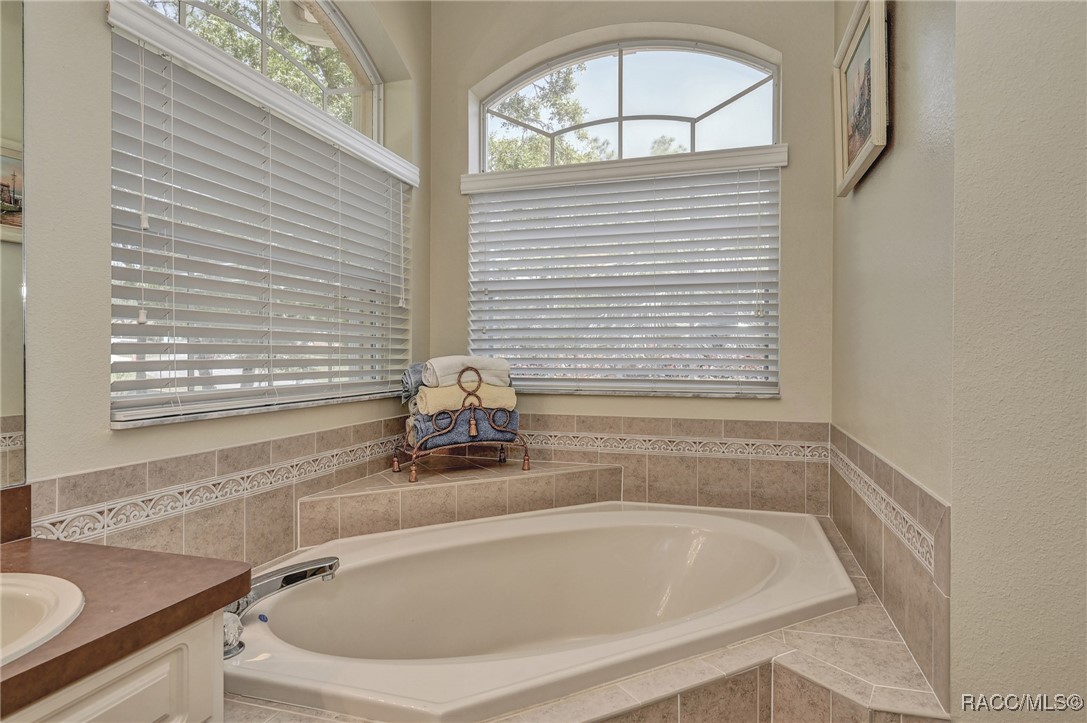 8 Black Willow Drive, Homosassa, Florida image 21