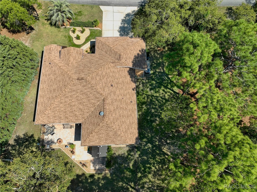 8 Black Willow Drive, Homosassa, Florida image 46