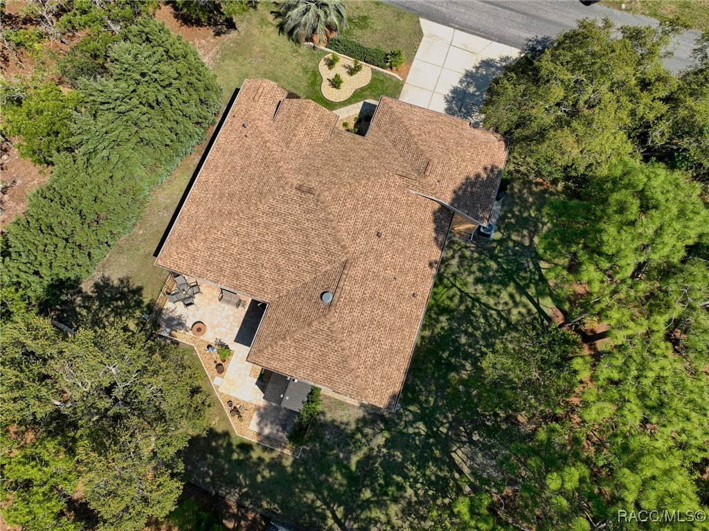 8 Black Willow Drive, Homosassa, Florida image 47