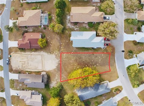 Vacant Land For Sale - 1870 W Shanelle Path<br/> Lecanto, FL 34461