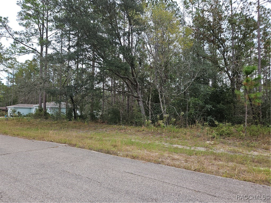 10935 N Robert Dean Way, Citrus Springs, Florida image 8