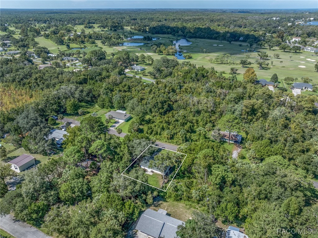 1075 N Fan Palm Point, Crystal River, Florida image 40