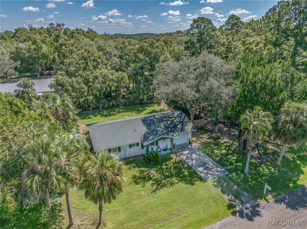 1075 N Fan Palm Point, Crystal River, Florida image 38