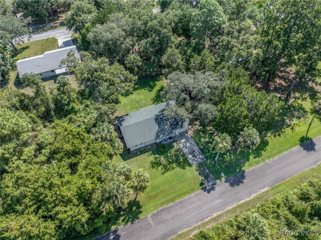 1075 N Fan Palm Point, Crystal River, Florida image 36