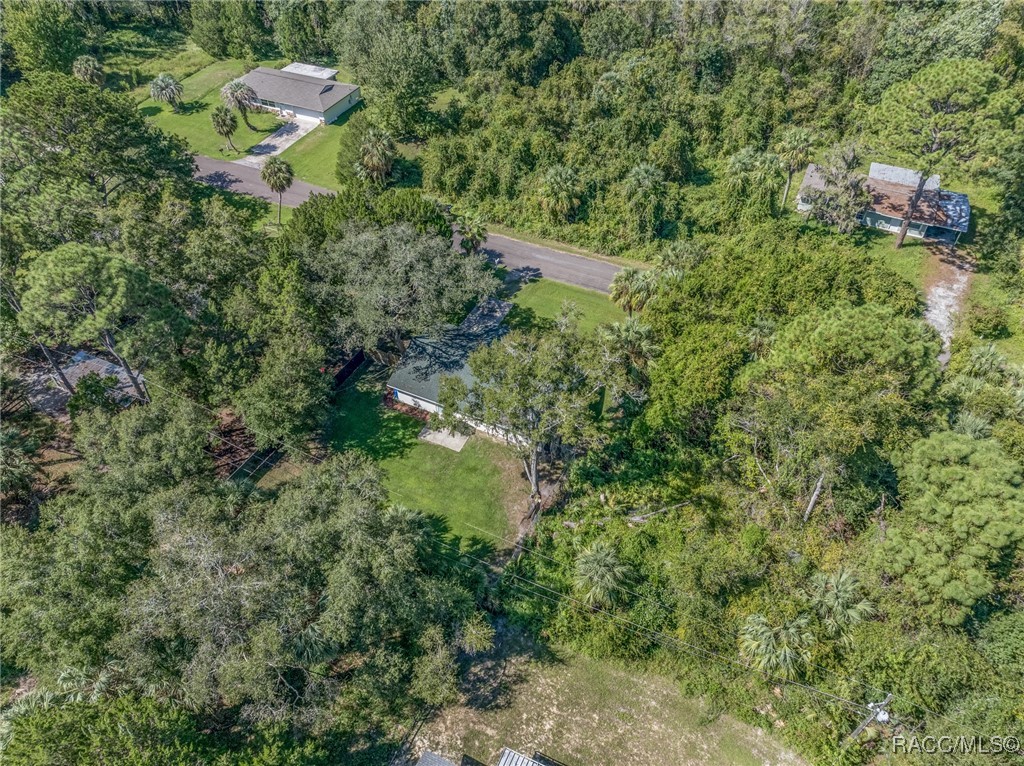 1075 N Fan Palm Point, Crystal River, Florida image 39