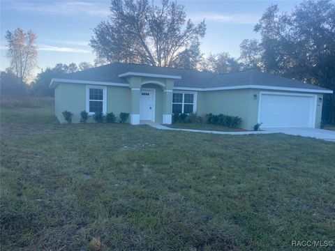 A home in Dunnellon