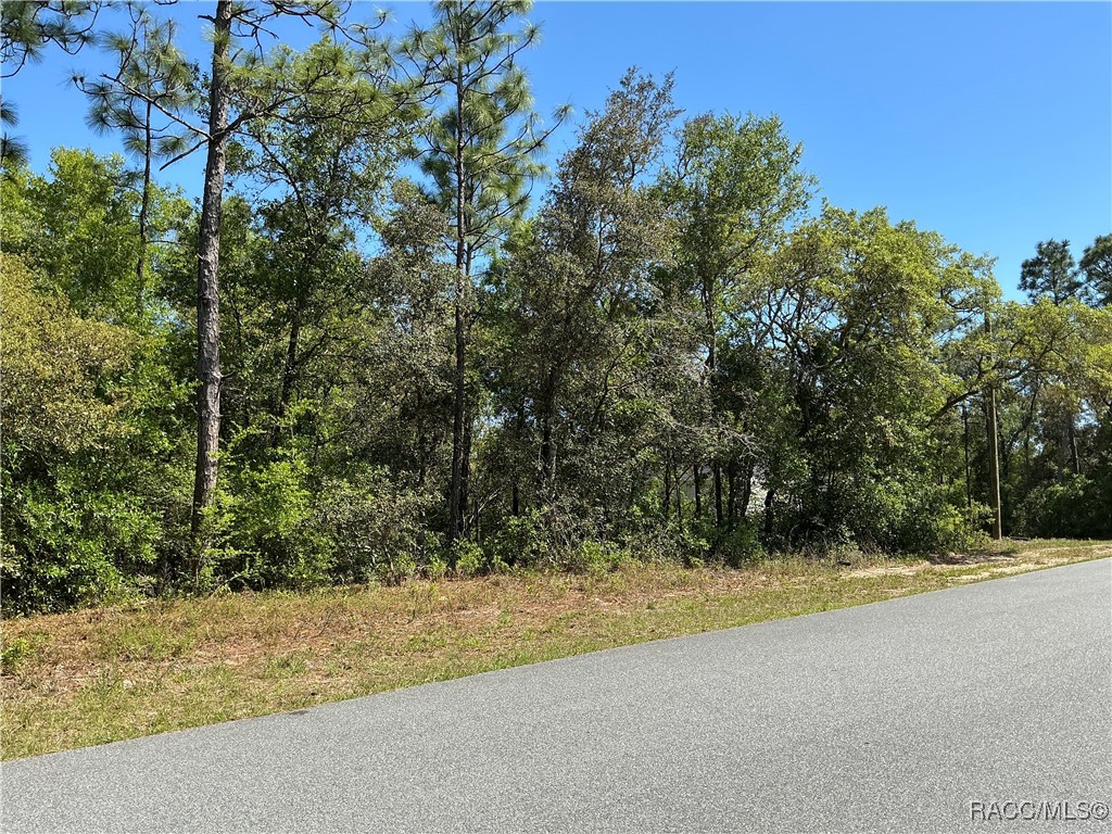 2918 W Camilo Drive, Citrus Springs, New York image 3