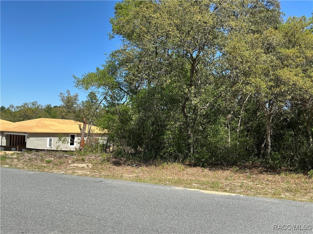 2918 W Camilo Drive, Citrus Springs, New York image 2