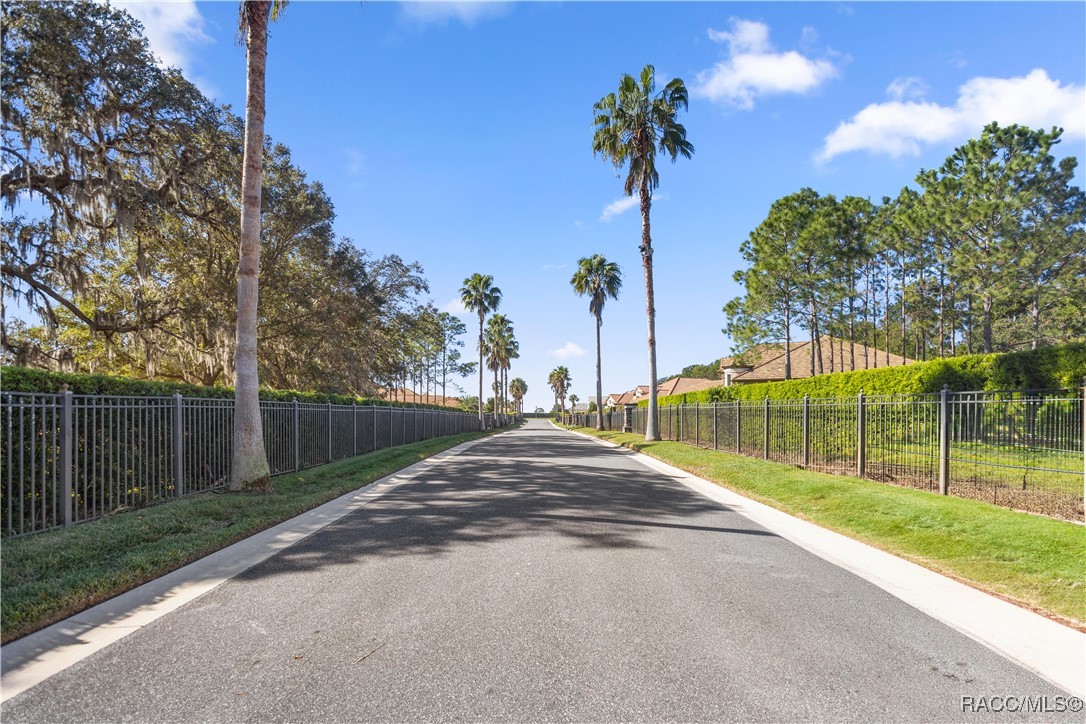 471 W Johnny Pesky Court, Hernando, Florida image 8