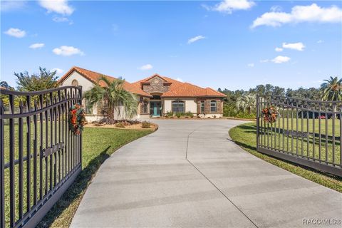 A home in Hernando