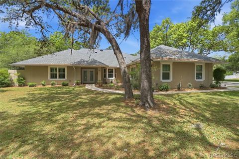 35 Douglas Street Homosassa FL 34446