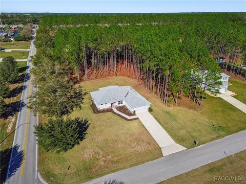 A home in Hernando