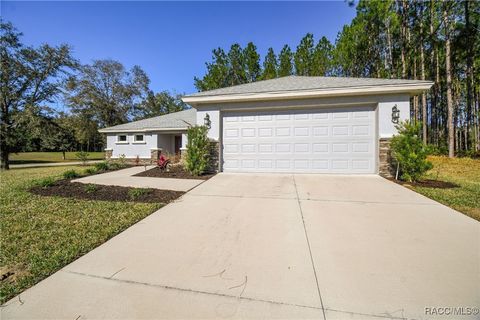 A home in Hernando