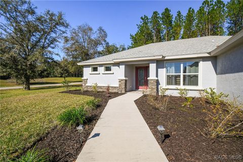 A home in Hernando