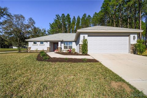 A home in Hernando