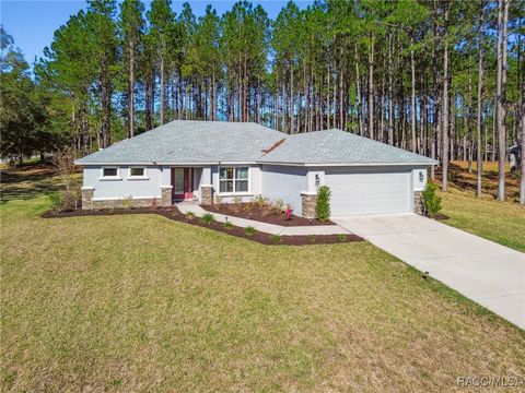 A home in Hernando